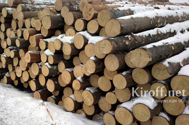 В Кирове владелец лесопилки незаконно нарубил леса на 256 тыс.рублей