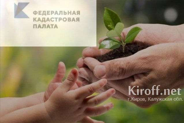 В рамках экологической акции «Сохраним родной край» сотрудники Кадастровой палаты посадили «Аллею деревьев»