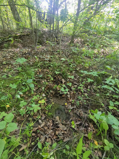 Калужский Росреестр продолжает инвентаризацию геодезических сетей