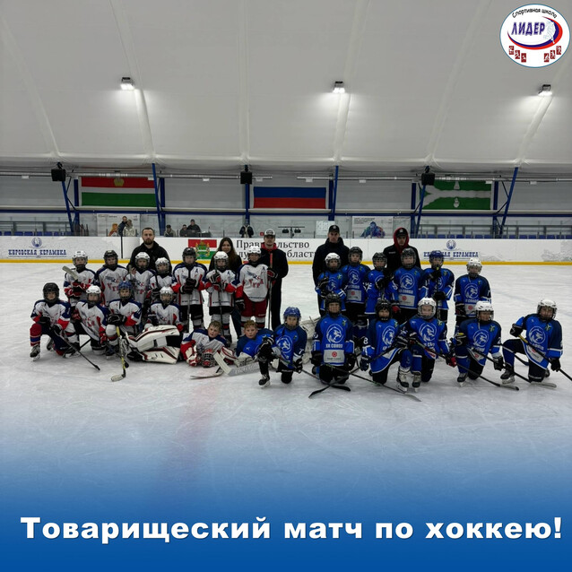Товарищеская встреча по хоккею