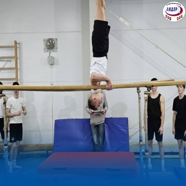Школьная спортивная лига по спортивной гимнастике