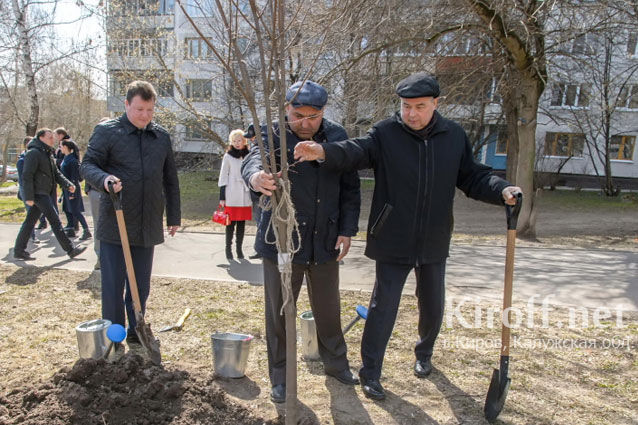 В Калужской области стартовал Всероссийский День посадки леса